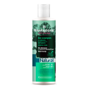 NIVELAZIONE Skin Therapy Natural Bio szampon do włosów ze skłonnością do łupieżu, czarna rzepa 300 ml (31.05.2022r.)